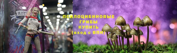 твердый Бородино