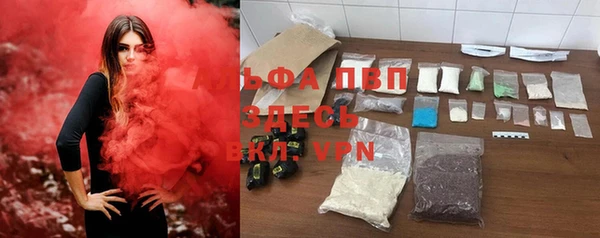 твердый Бородино