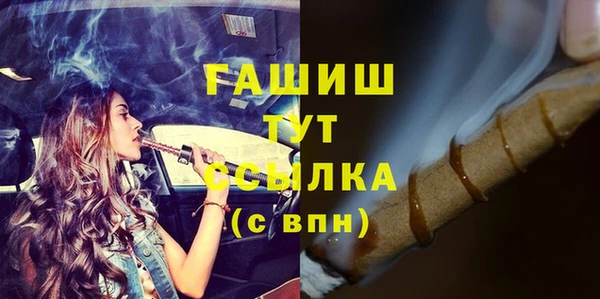 твердый Бородино