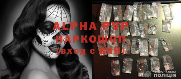 твердый Бородино